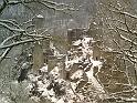 photos de dÇneigement 186